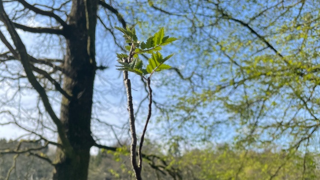 Feministischer Krafttag in der Natur (all gender)