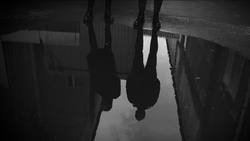 Isocult