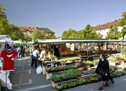 Sülz - Auerbachplatz