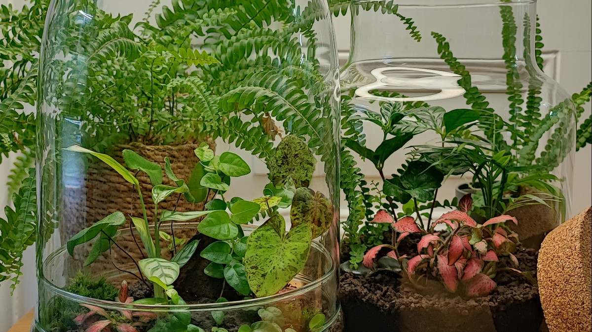 Titelbild der Veranstaltung DschungelGlas Workshop