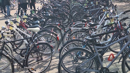 Fahrradmarkt "Fietsenbörse" mit über 600 Fahrrädern