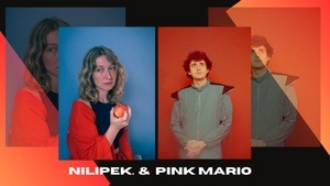Nilipek. & Pink Mario