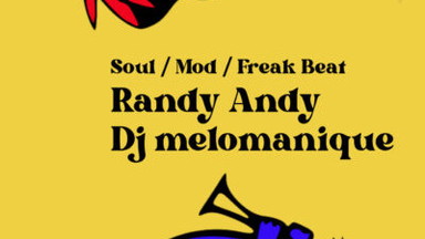 Strictly Vinyl – Soul, Mod, Freak Beat in der Kneipe