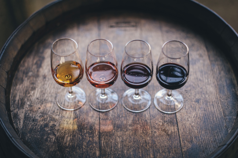 Wine Basics - Einsteiger Wein Tasting