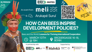 How can bees inspire development policies? - An event from Meli Bees