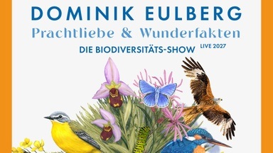 DOMINIK EULBERG