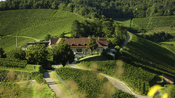 Staatsweingut Freiburg