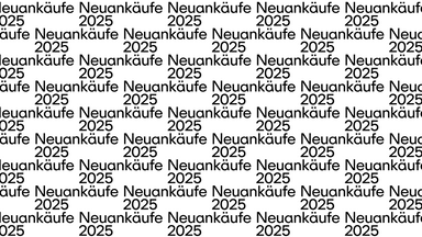 VERNISSAGE "Neuankäufe 2025" & SOMMERFEST