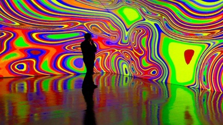 Kurator:innenführung