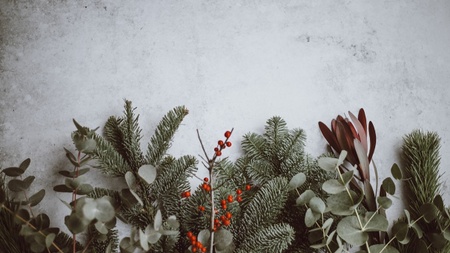 Eisstockschießen Stuttgart