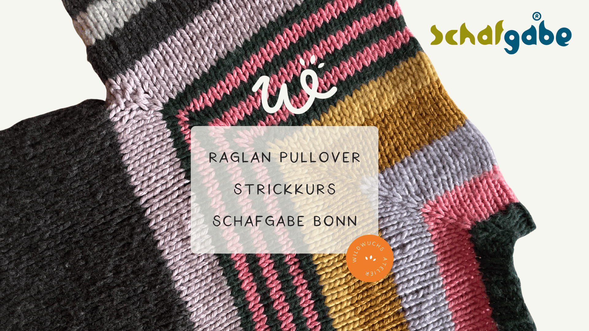Raglan-Pullover – Strickkurs (4 Einheiten) in Bonn