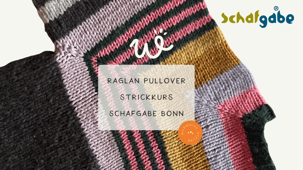 Titelbild der Veranstaltung Raglan-Pullover – Strickkurs (4 Einheiten) in Bonn