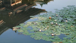 FOTOVEEDELFÜHRUNG: AACHENER WEIHER/LINDENTHAL