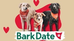 Bark Date - Das Event für Hunde aus dem Tierschutz, die ein Zuhause suchen!