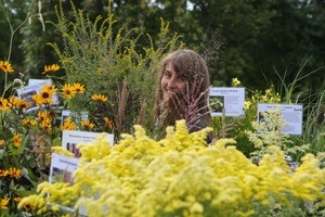 Berliner Staudenmarkt im Britzer Garten