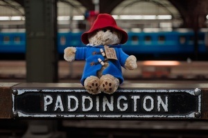 Paddington in Peru - Open Air Kino