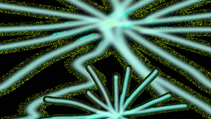 altshift 5 =  NEU 2026