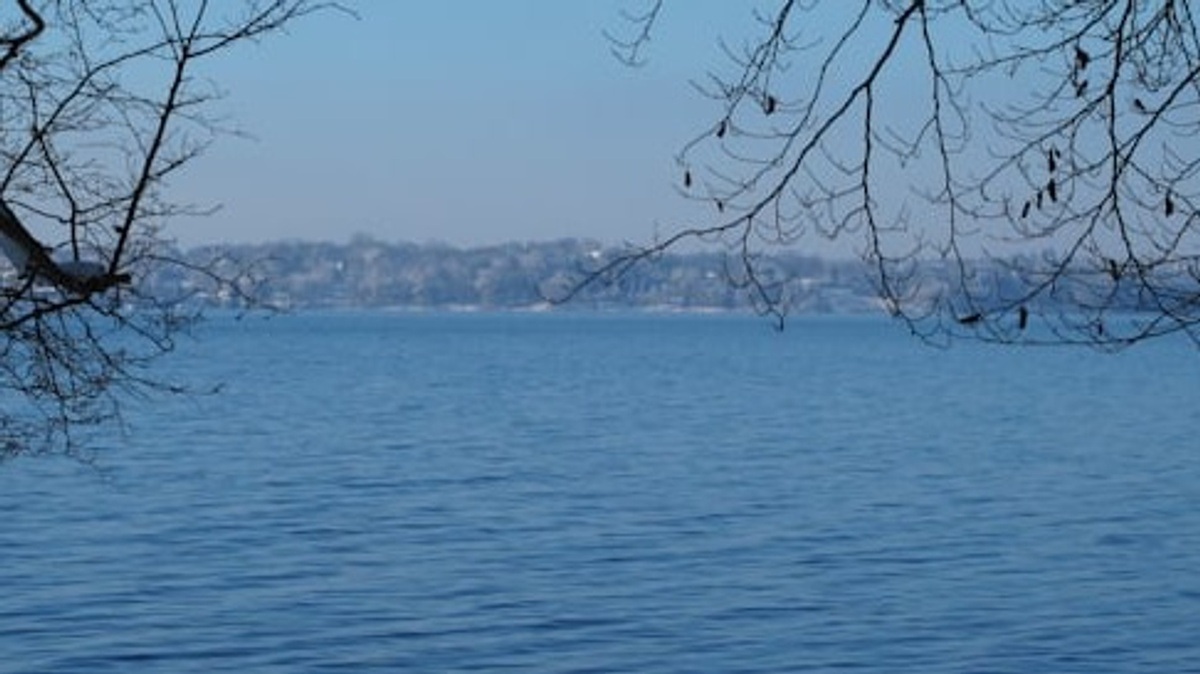 Brahmspromenade