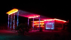 Lecture „Axel Rössler und Freund:innen: Lobo-Texas”
