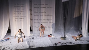 Die Kopenhagen - Trilogie