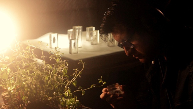 Intercambios - Schöne Aussicht