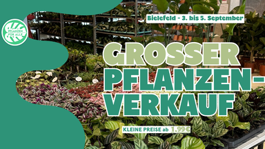 Großer Pflanzenverkauf - Bielefeld