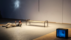 Micha Purucker: splitter + stream / rhetorics of flesh