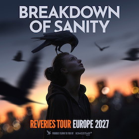 BREAKDOWN OF SANITY