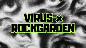 VIRSUS X ROCKGARDEN