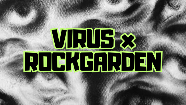 VIRSUS X ROCKGARDEN