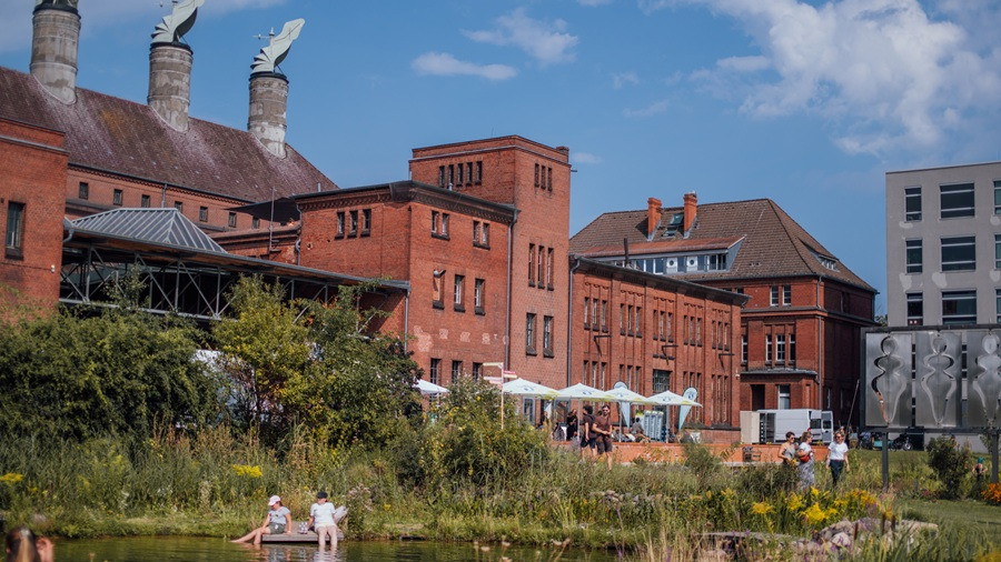 Wildkräuter auf dem Gelände der Malzfabrik