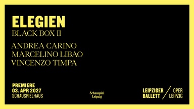 Elegien - Black Box II