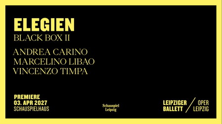 Elegien - Black Box II