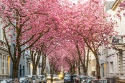 Verschiedene Orte in Bonn