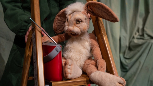 Hasen pfeifen nicht | Nicole Gospodarek