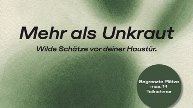 Mehr als Unkraut - Wilde Schätze vor deiner Haustür