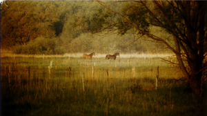 Work In Progress - Dokumentarfilme zu Arbeit