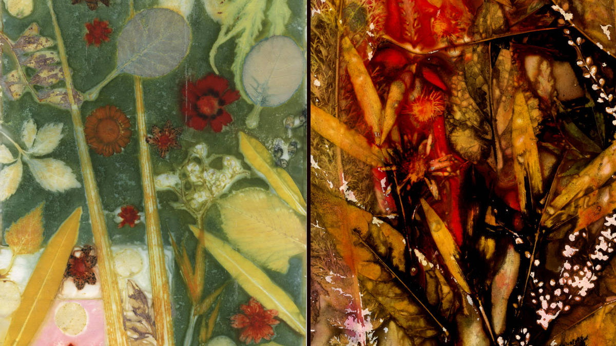 Zwei Ecoprints auf Papier für die Ausstellung in der Flora