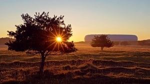 Im Herbst Altes abschütteln  - Qigong und Naturerfahrung an der Umweltstation