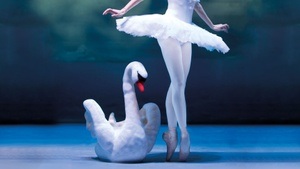 Schwanensee – International Festival Ballet