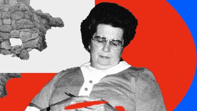 fi x Joyhauser & Neue Wellen