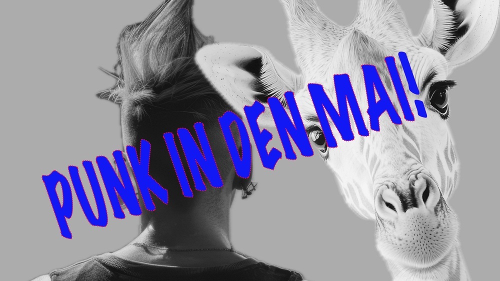 PUNK IN DEN MAI | Die Ratinger!