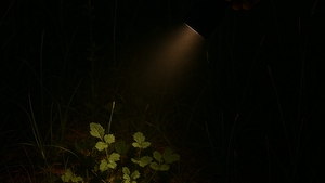 Taschenlampen Ralley