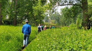 Raus ins Grüne: Waldbaden vor der Haustür