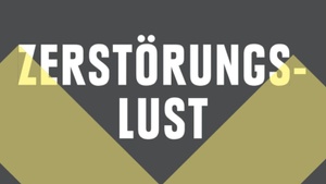 Carolin Amlinger - Zerstörungslust