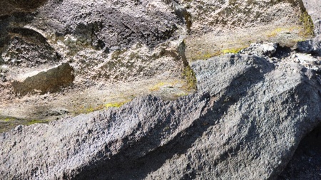 Ausstellungsrundgang: Susanne Kriemann. Knochen, Pech, Natternkopf (Being a Photograph)