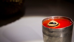 Disgusting Food Musem