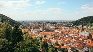 zwinger x für alle!
