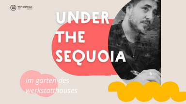 Under the Sequoia mit Max François | Feierabendkonzert im Werkstatthaus