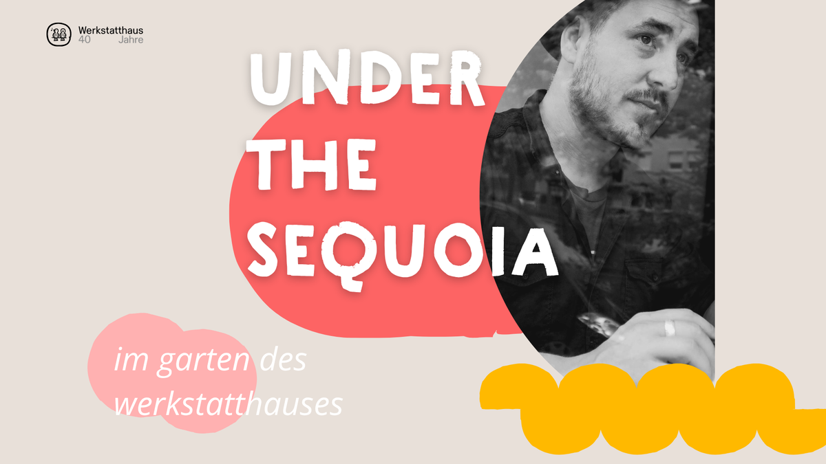 Under the Sequoia mit Max François | Feierabendkonzert im Werkstatthaus